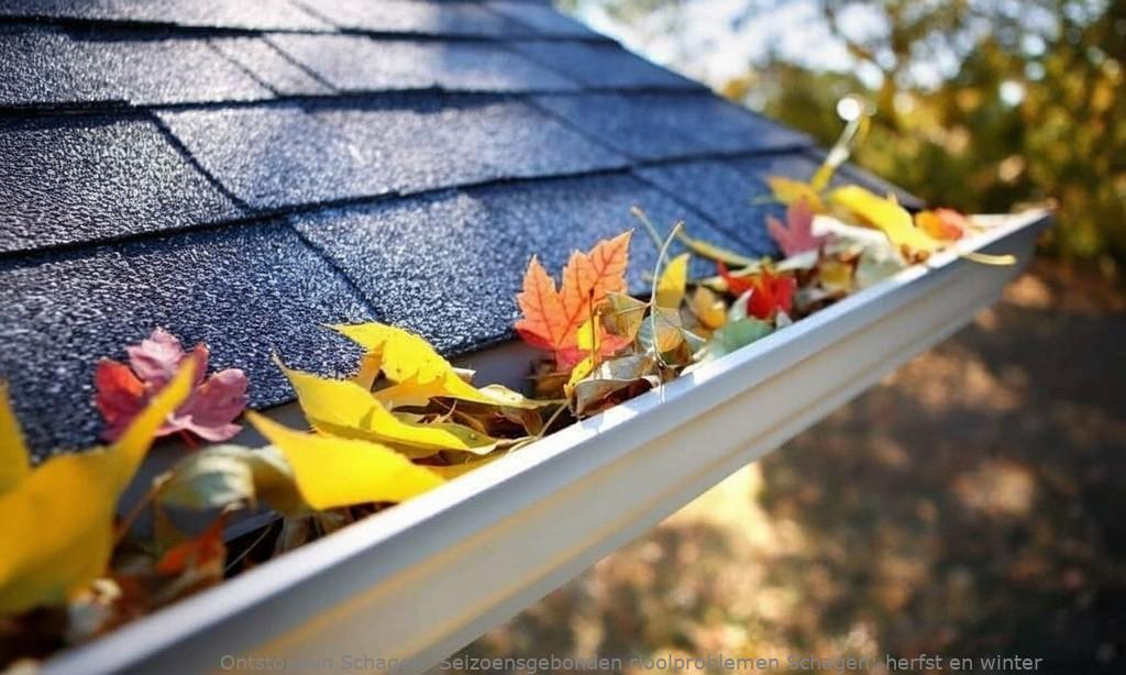Seizoensgebonden rioolproblemen Schagen: herfst en winter