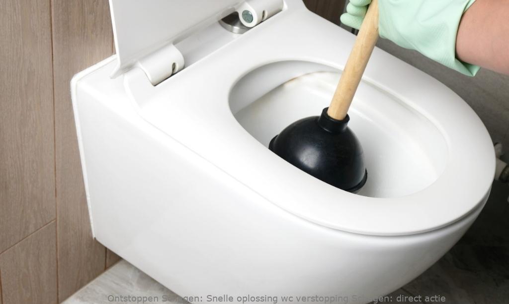 Snelle oplossing wc verstopping Schagen: direct actie